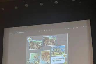 Bondinhos Aéreos de Canela priorizam cuidados com a saúde mental