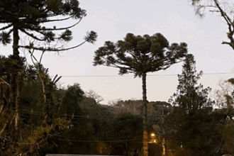 Gramado e Canela recebem cafeteria móvel da Melitta com degustação de cafés fresquinhos