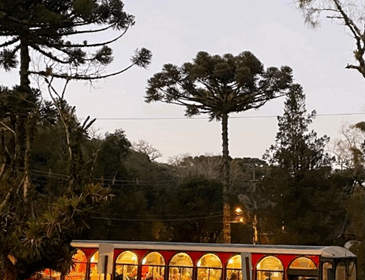 Gramado e Canela recebem cafeteria móvel da Melitta com degustação de cafés fresquinhos