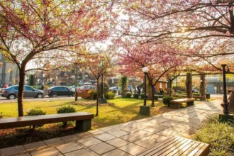Inverno na Serra Gaúcha começa com redução no ticket médio e aumento nas compras online