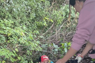 Escola Estadual Nossa Senhora da Pompéia realiza ações para despertar senso de sustentabilidade dos alunos