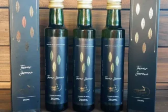 Azeite Terroir Serrano do Olivas de Gramado é reconhecido como um dos melhores do mundo