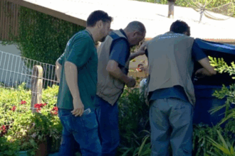 Vigilância Ambiental de Gramado é reconhecida pelo bom trabalho