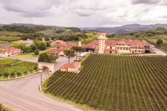 Miolo no Terroir Wine Experience do Castelo Saint Andrews, em Gramado