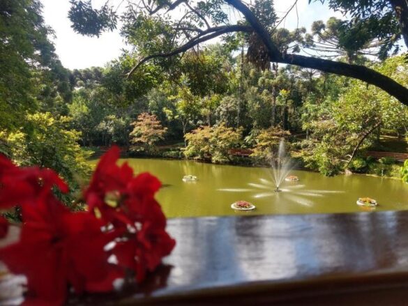 163395058_800716023872664_1076692388323482644_n