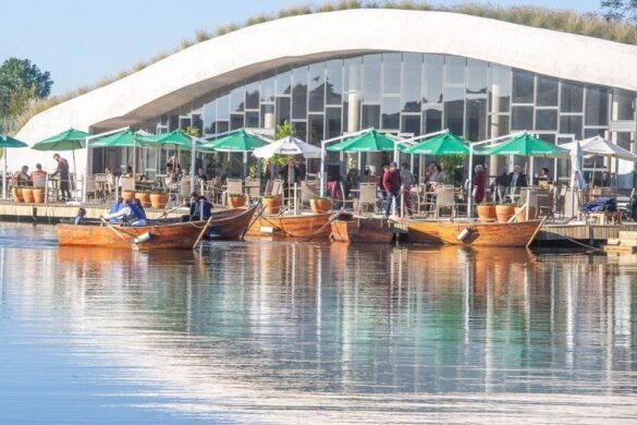 283853138_505698904673837_8714901705637018180_n